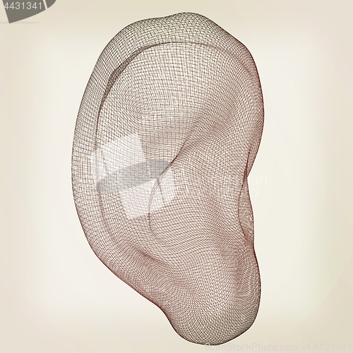 Image of Ear digital model. 3d illustration. Vintage style
