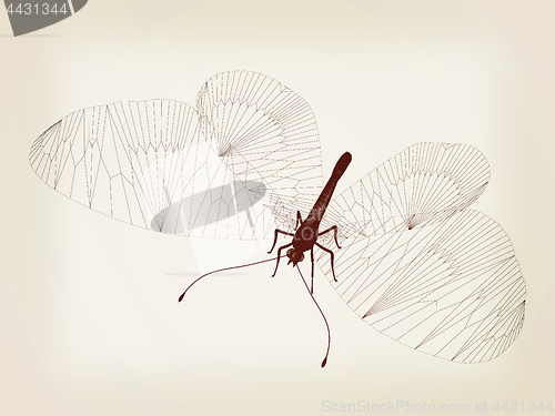 Image of Line butterfly concept. 3d illustration. Vintage style