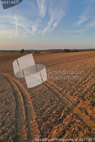 Image of Agircutural field in late sunlight