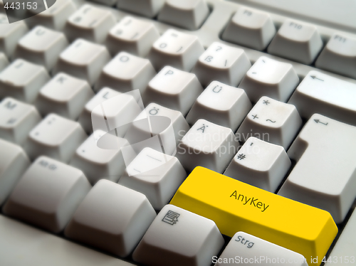 Image of AnyKey
