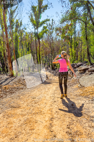 Image of Hiking in regenerating bushland after fire