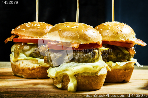 Image of Burger fresh and eatible