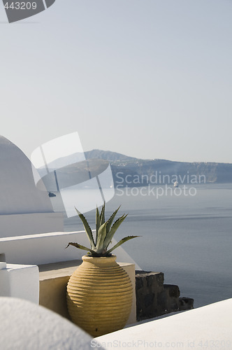 Image of house hotel with plant over sea santorini