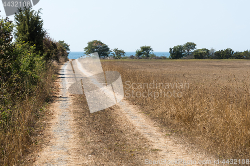 Image of Dirt road to the coast