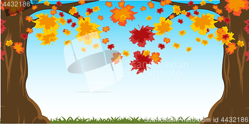 Image of Autumn tree fall of the leaves on glade