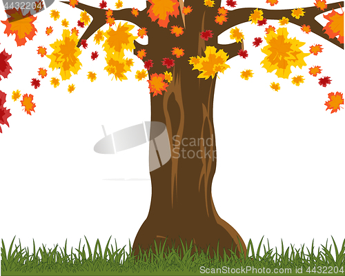 Image of Tree on glade throws .Vector illustration autumn tree