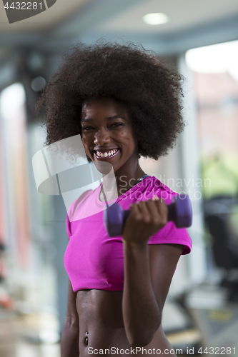 Image of woman working out in a crossfit gym with dumbbells