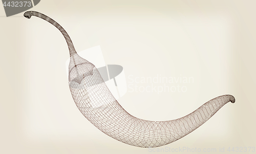 Image of chili pepper. 3d illustration. Vintage style