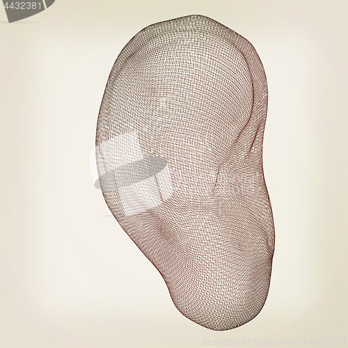 Image of Ear digital model. 3d illustration. Vintage style