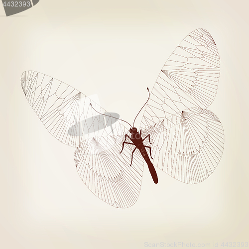 Image of Line butterfly concept. 3d illustration. Vintage style