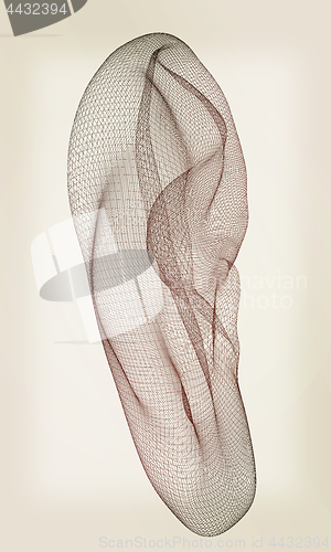 Image of Ear digital model. 3d illustration. Vintage style