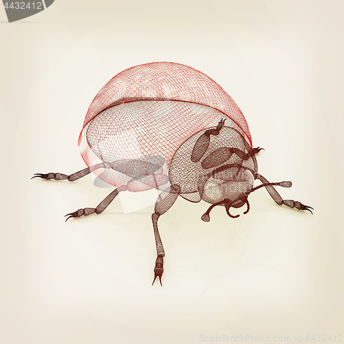 Image of Ladybird on a white background. 3D illustration.. Vintage style
