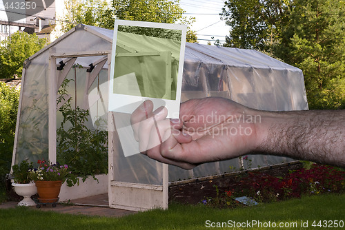 Image of Greenhouse