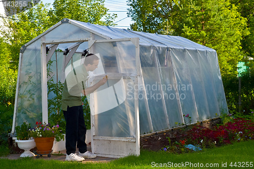 Image of Man Painting Greenhouse