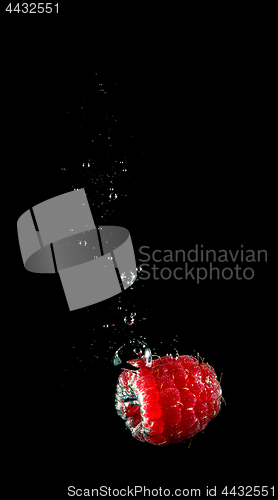 Image of Fresh berry falling in water