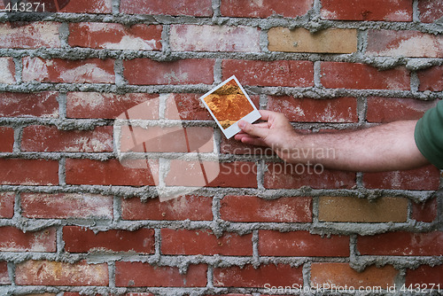 Image of Brick Wall