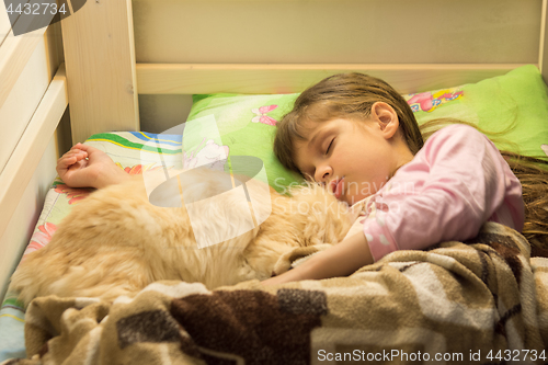 Image of Little girl sleeping in bed with fluffy cat