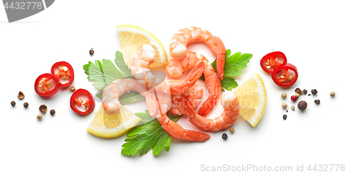 Image of composition of prawns and spices