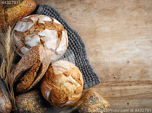 Image of various freshly baked bread