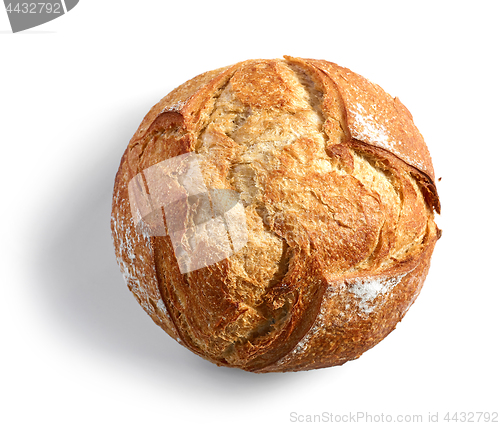 Image of Freshly baked bread