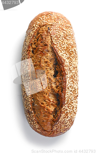 Image of Freshly baked bread