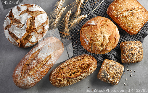 Image of various freshly baked bread