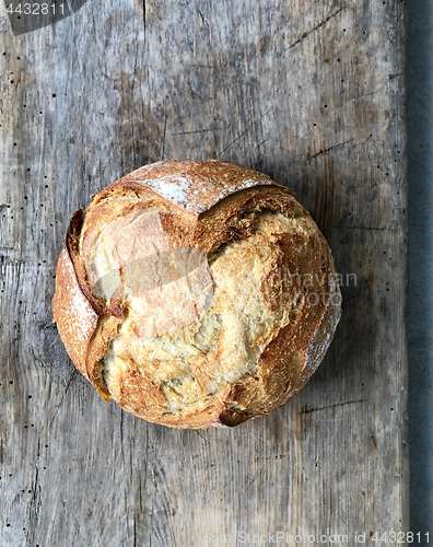 Image of Freshly baked bread