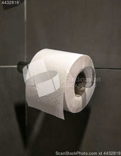 Image of Toilet paper roll