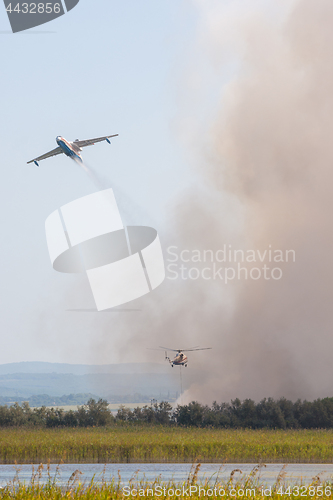 Image of Discharge of water on a burning cane by airplane and helicopter, on a fire on the floodplains of the Anapka River, Anapa, Russia