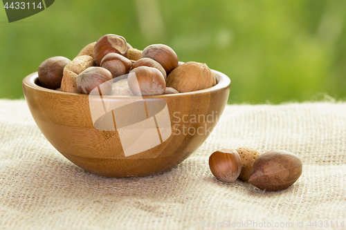 Image of Nuts in wooden bowl. 