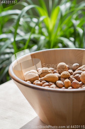 Image of Nuts in wooden bowl.