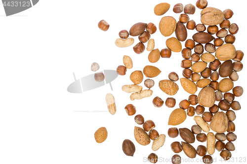 Image of Assorted nuts isolated