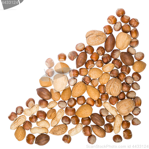 Image of Assorted nuts isolated