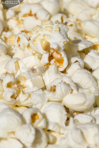 Image of Popcorn background