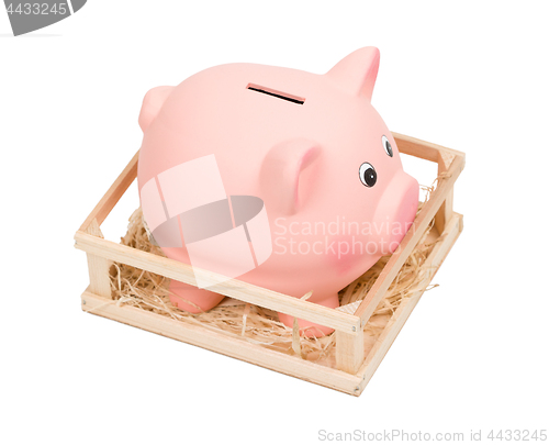 Image of Piggy bank