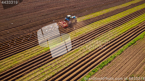 Image of Agricultural work on a tractor farmer sows grain. Hungry birds a