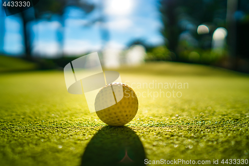 Image of Mini Golf yellow ball on green grass at sunset