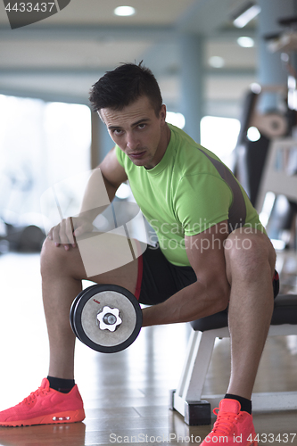 Image of handsome man working out with dumbbells