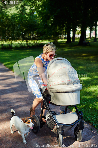 Image of Woman walking with dog and baby carriage