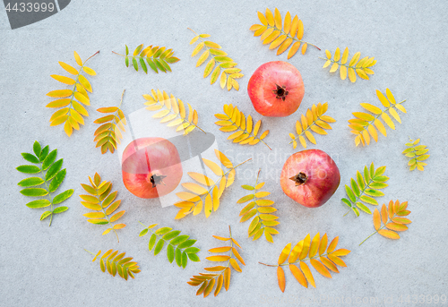 Image of Pomegranates and autumn ashberry tree leaves