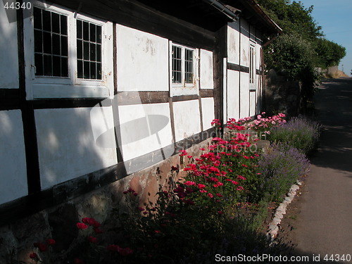 Image of Flowers