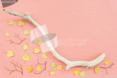 Image of Pink canvas with autumn leaves and dry tree branch