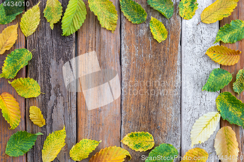 Image of Frame made of bright autumn leaves on old wood background