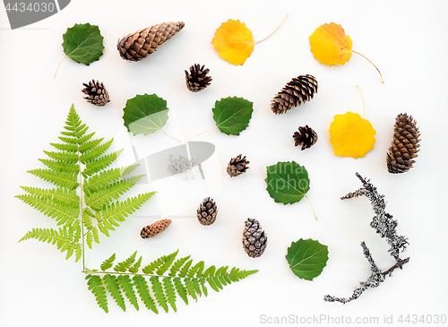 Image of Scandinavian forest flat lay