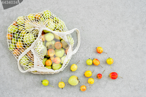 Image of Mesh bag full of apples from the garden