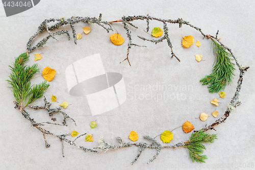 Image of Frame made of autumn leaves and mossy tree branches