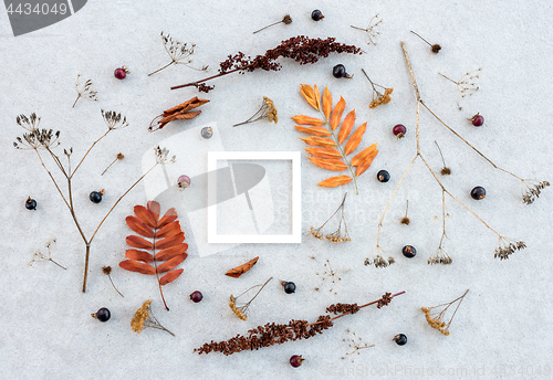 Image of White frame and dry autumn plants on concrete background