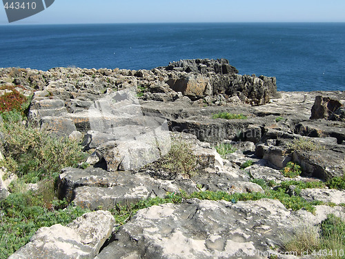 Image of Landscape by the Atlantic ocean