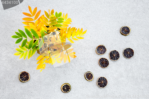 Image of Ashberry tree leaves in a vase and dried lemon slices