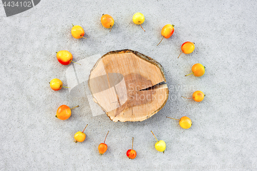 Image of Apple tree stump with copy space surrounded by cherry apples